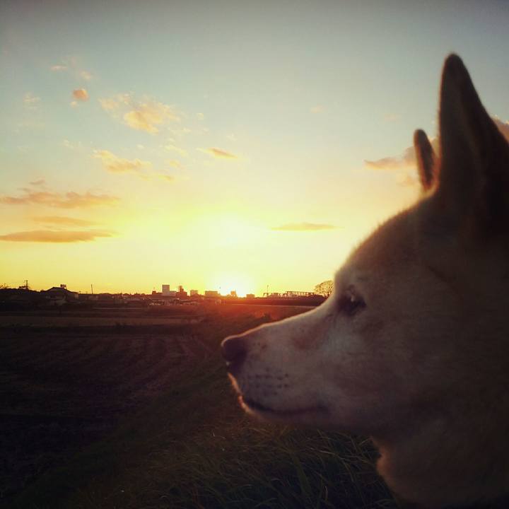 A2ee2529 f020 40ef a9f1 890bc5fee228