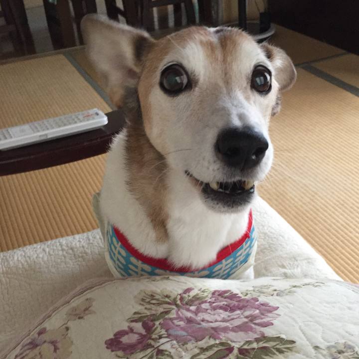 A2eeab36 cdd1 4467 a4ee 01c71ab0f7ae