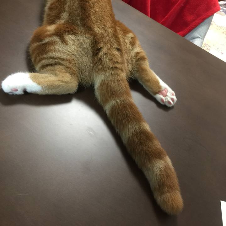 A2eebb94 f17f 4719 938f bcc7aa990955