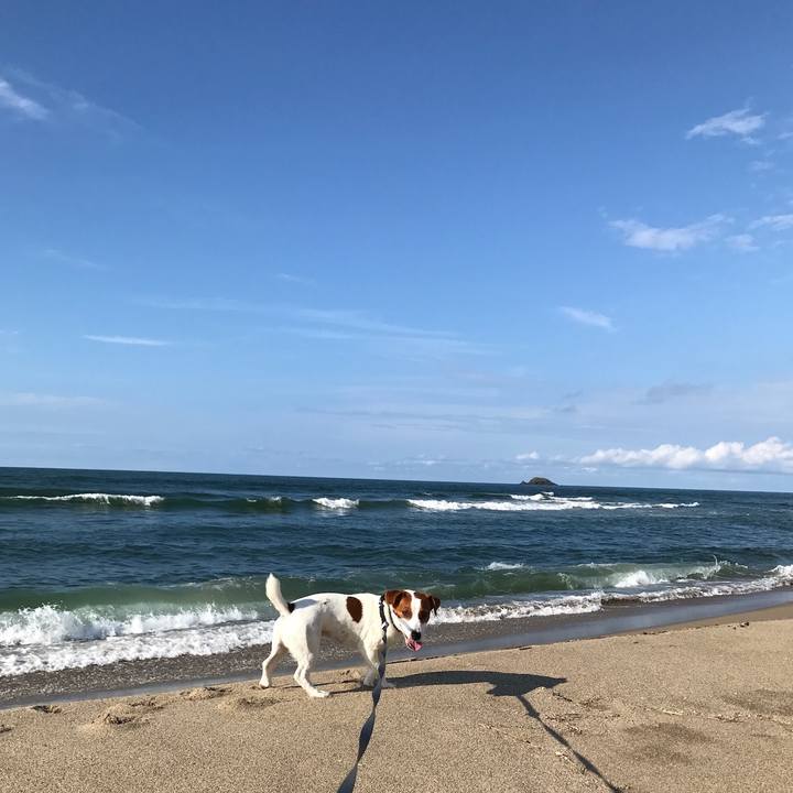 A2eec8e0 4686 4df9 849e 375451bc2416