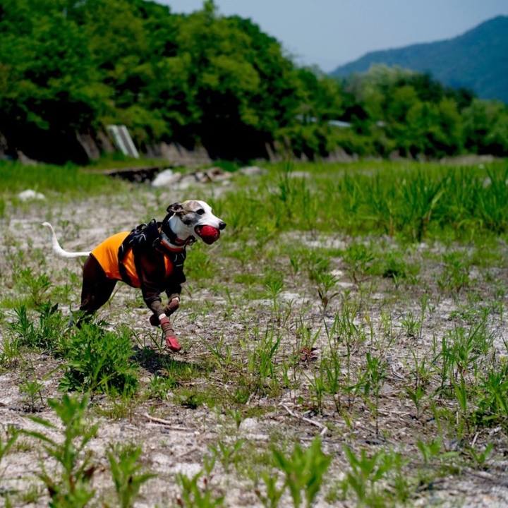 A2ef8f4c 8b2b 41c8 bba0 a73da7d63318