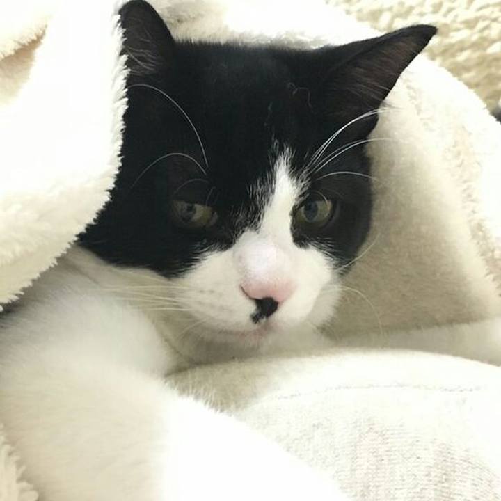 A2f0193e 78c8 47ef 9ecf feefbcf20a8a