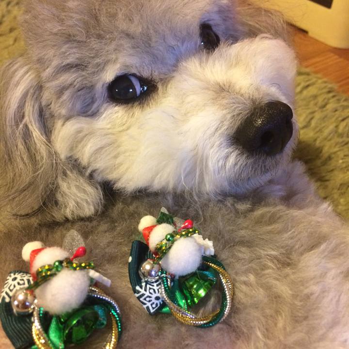 A2f03d8e 5cd8 40d7 9fd2 8984af23586e