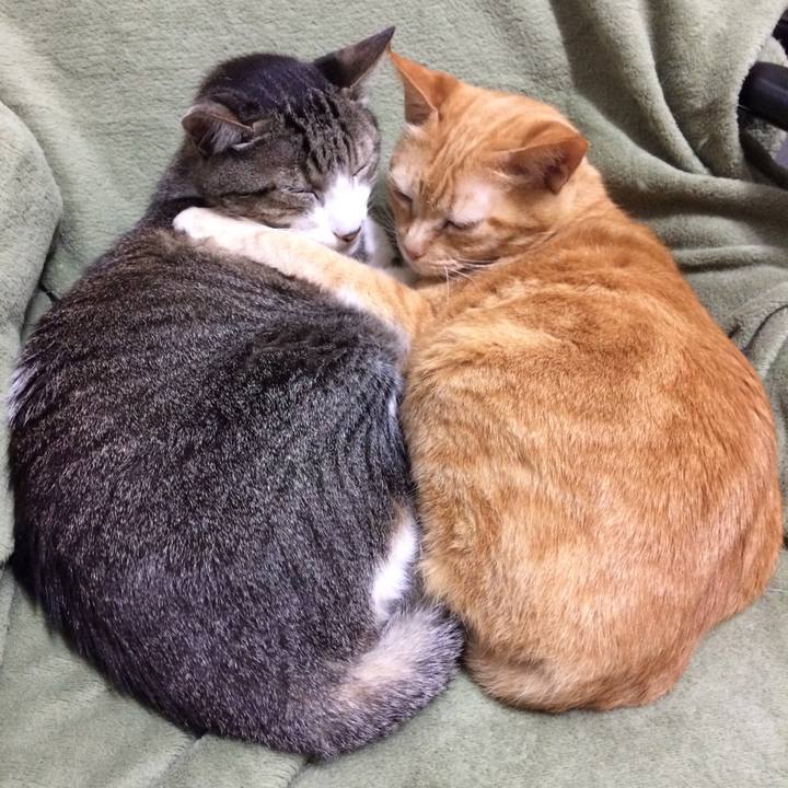 A2f05715 06ac 494e 9c99 4b6e274d0dcc