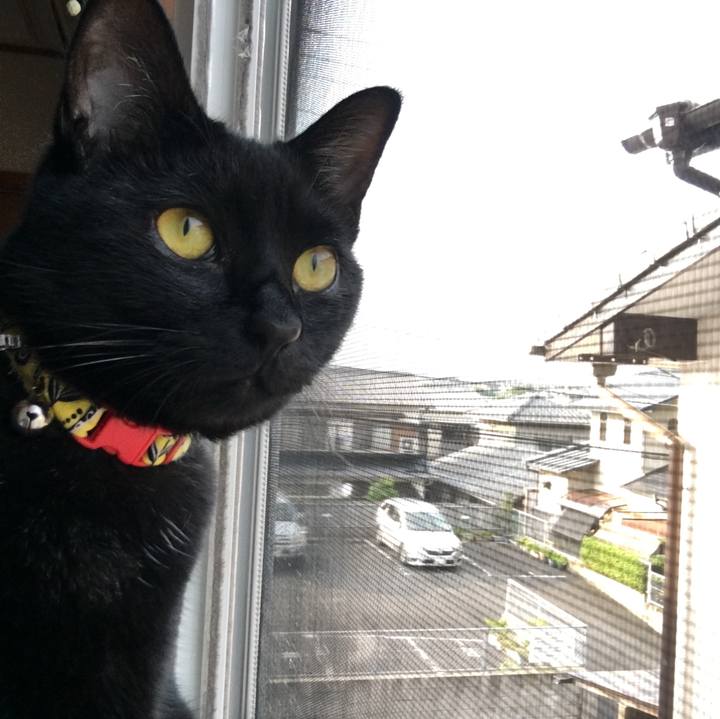 A2f1a8b3 e7de 4935 aafe e3476bea14d2