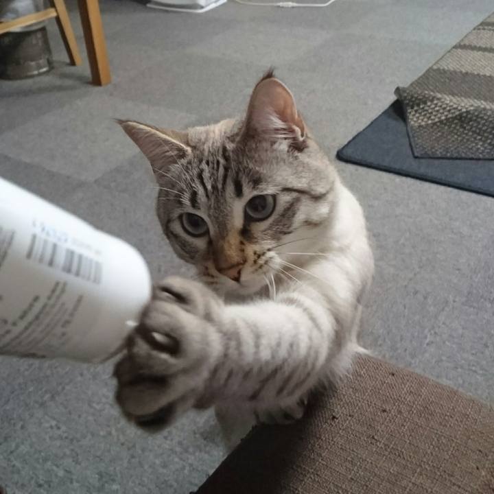 A2f31261 0cab 44b9 ac8e b138cdf79fc6