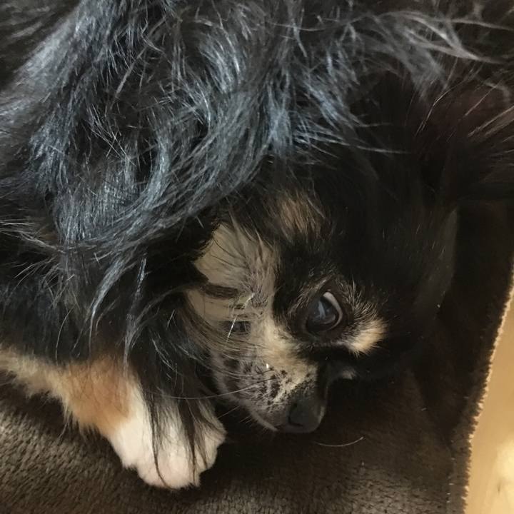 A2f3d00f 614c 4d56 818a d531b888abfd