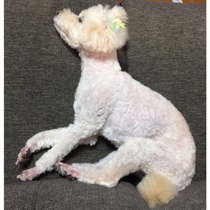 A2f3ecda f0f5 4fad 8260 0d0488e3d9d1