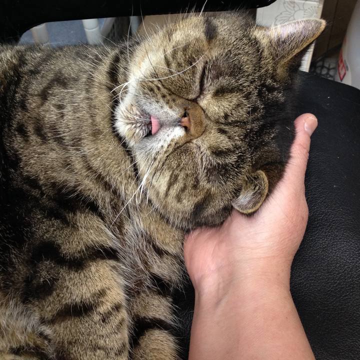 A2f49227 2297 4488 9b41 a3ac6e3d676e