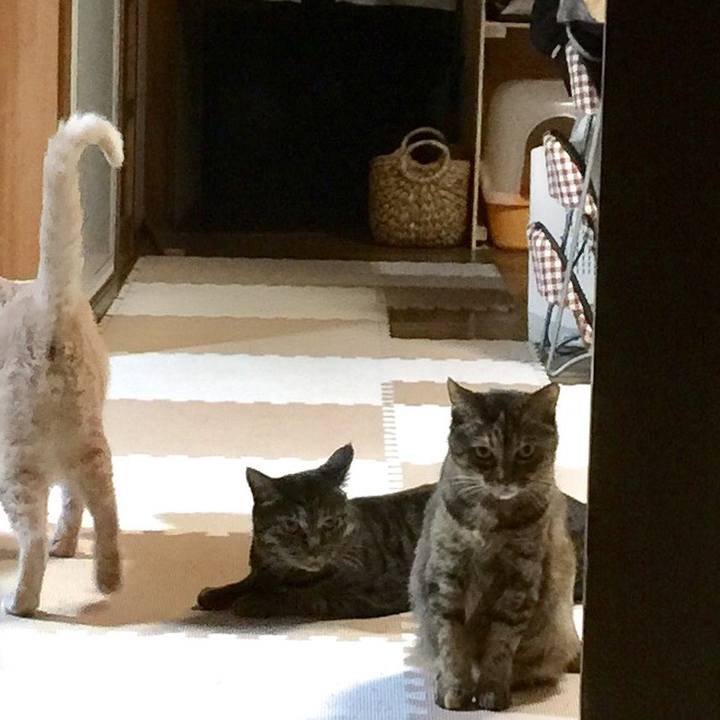 A2f49bd5 e158 4857 90b5 1318960a8a4d