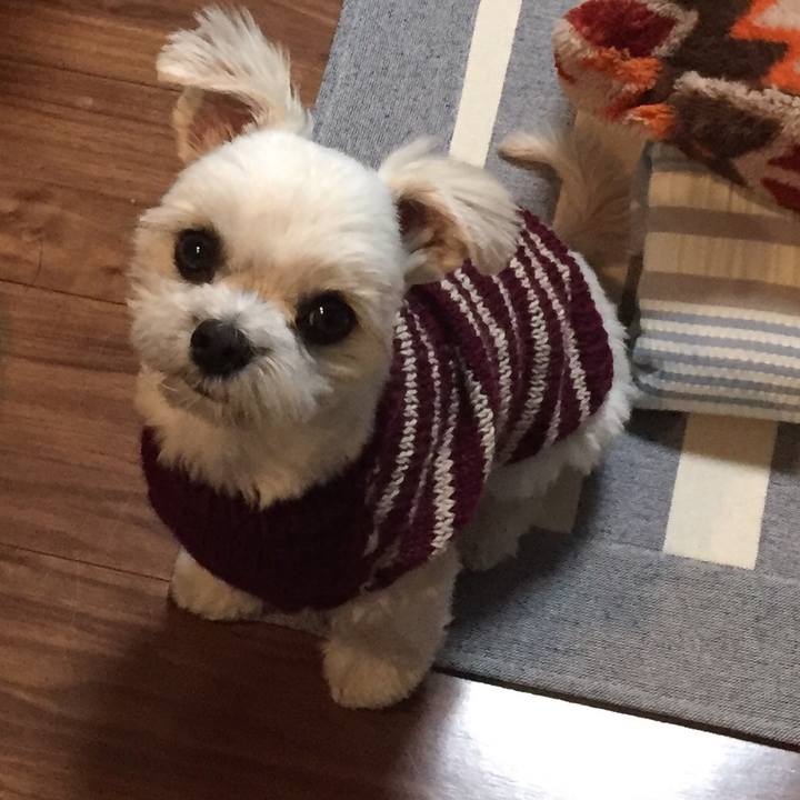 A2f4f162 ac41 49aa 8e3b 1a5f47a51503