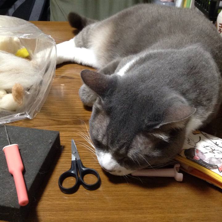 A2f51180 1f38 40fb b6d7 26f79b351321