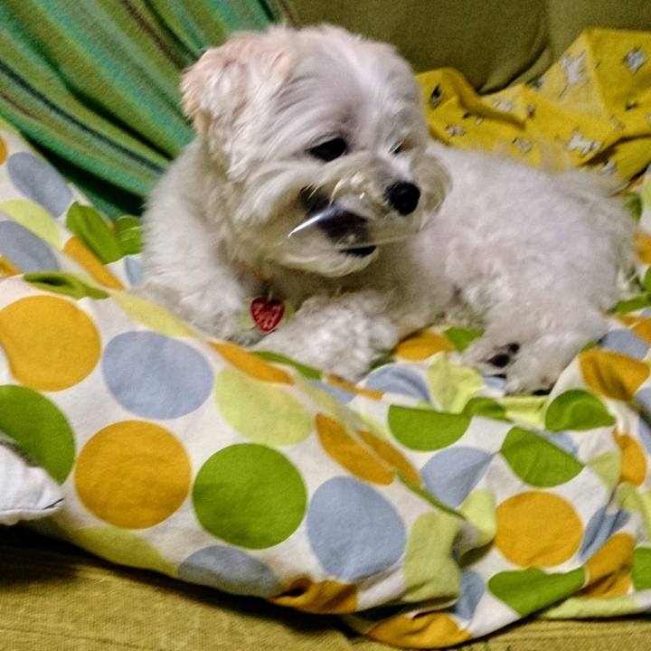 A2f5221c 9880 4d30 9ee5 24b873eb89a7