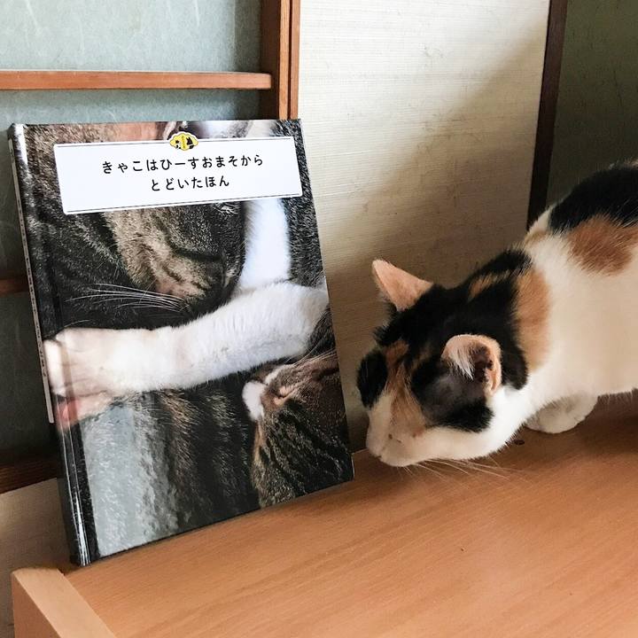 A2f58b22 ab79 4390 aae0 468280e3f506