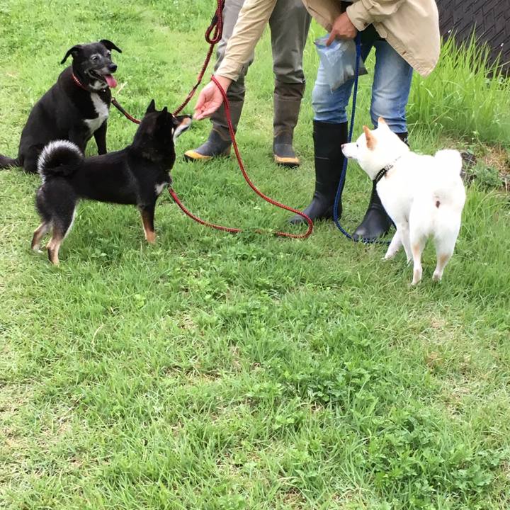 A2f5a5a0 4d83 412c 82f4 53601aa3ef63