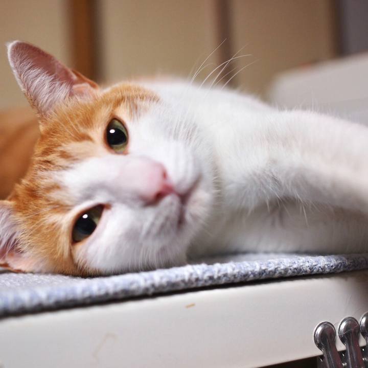 A2f632d8 b0df 48d7 a16d be5f9a6dc72f