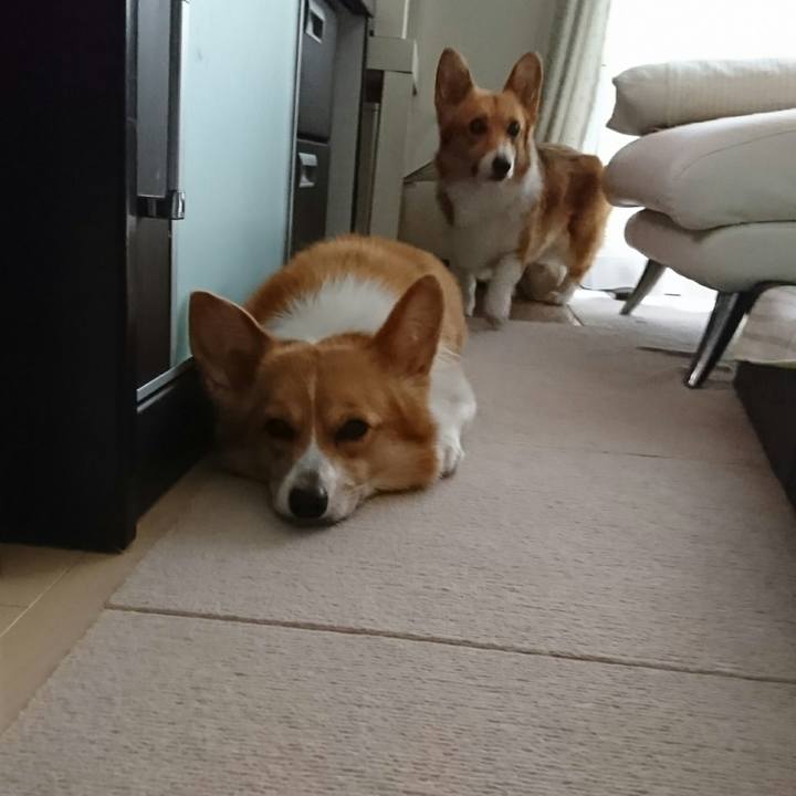 A2f63ebc 133e 4124 859d eacedd79a21b