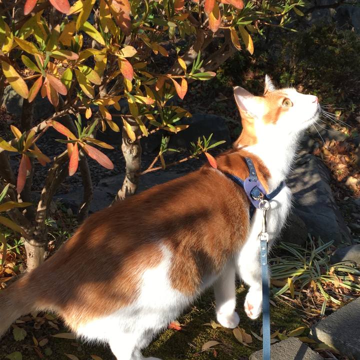 A2f6517e 69f9 4052 9165 75785724f929