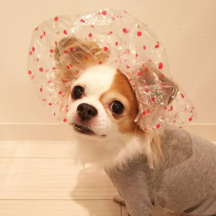 A2f6602c 4f3e 41cf bd02 14454a33b979