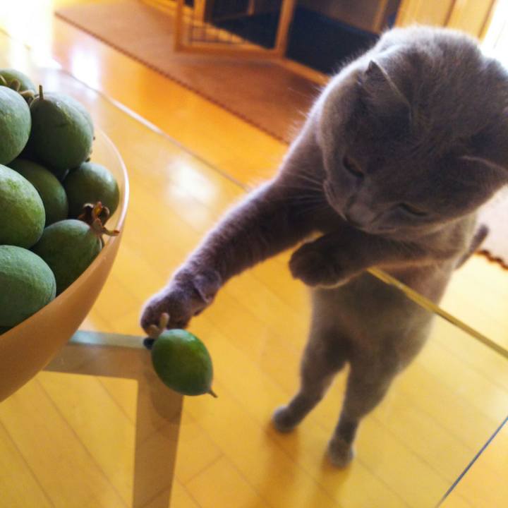 A2f68baa c7bc 4d3c bdd5 2f30d393ebd5