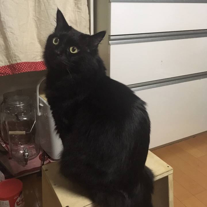 A2f72417 4f3d 433f 808c 42982df69eec