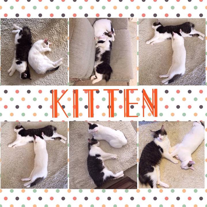 A2f72d1f f442 43b4 93fd 3d5aba94ef56