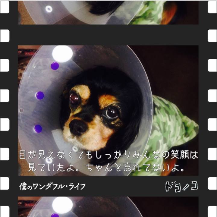 A2f79648 96c1 4cf3 833a ac681023cb5d