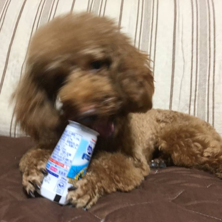 A2f7ea3d b08b 4b5d 9c59 b5dfafc3f4d7