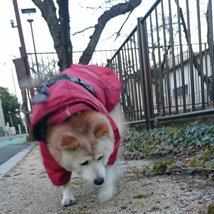 A2f8270a b8d9 457b 9b05 fdd8bcbd58a2