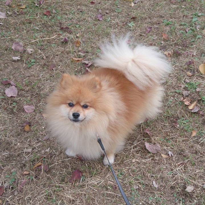 A2f83101 63b0 48eb b987 a5edff666161