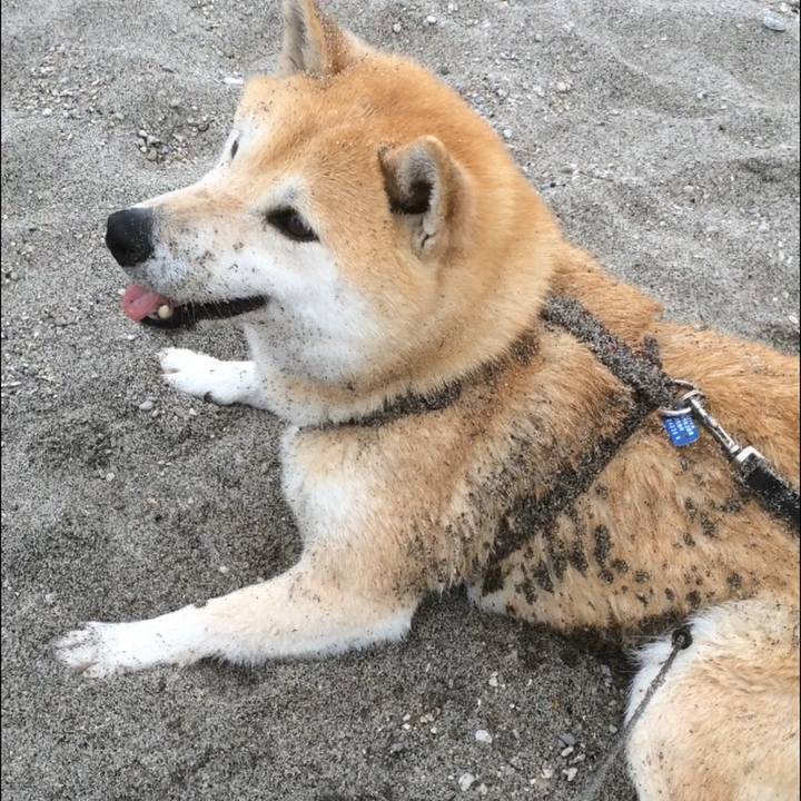 A2f8312b 96f0 4570 a469 cd75c4b5ad6f