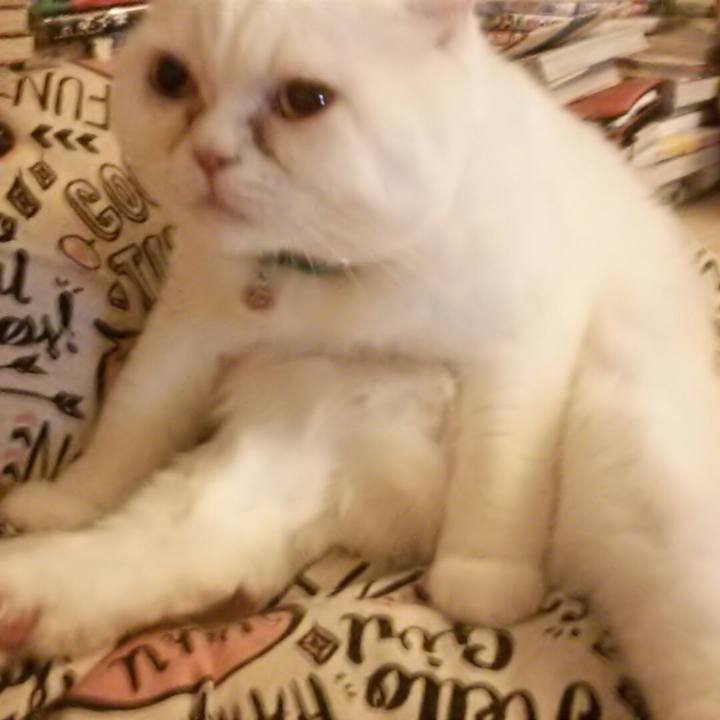 A2f8790d 823f 45b0 8e66 7b1b5c8d5ffc