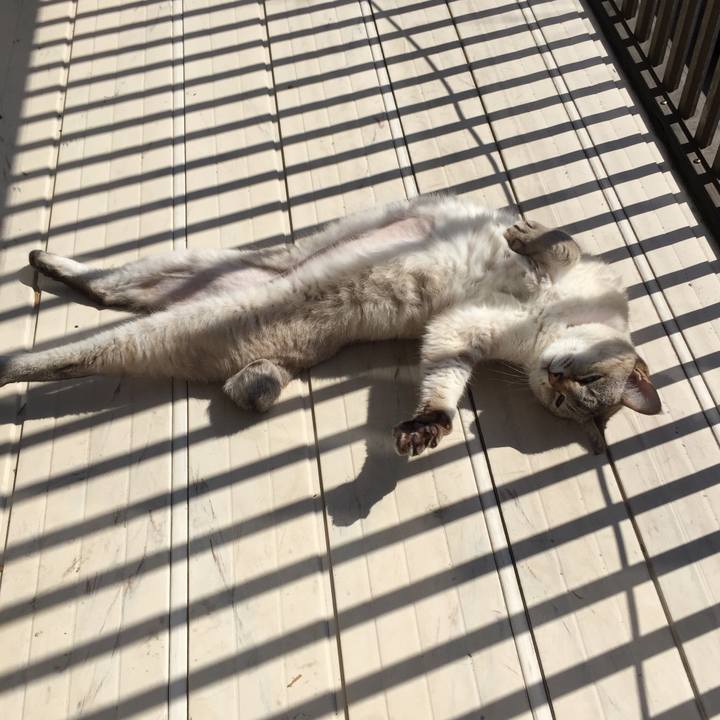 A2f89d1c e350 4e24 9791 cdf82c1e5776