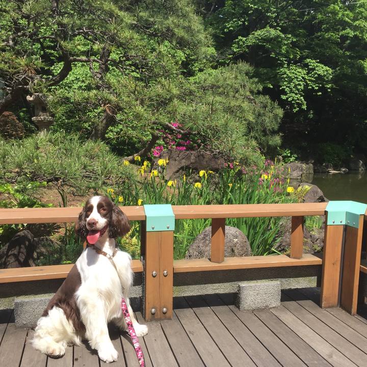 A2fa7d42 2dad 4604 aa37 6c53cd2bba9c