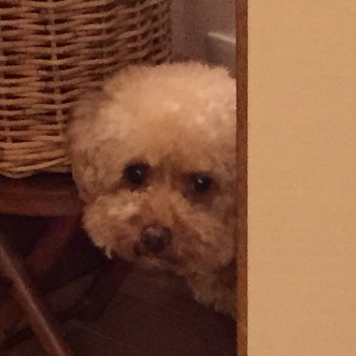 A2fb0505 58c1 405f b80c 0eae7585b7f8