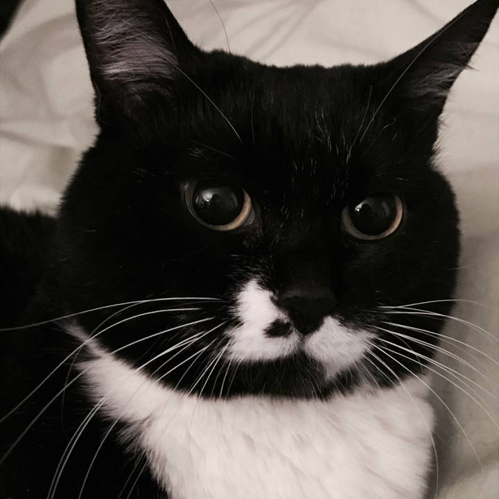 A2fb1f9e e05a 45e3 811b a269a2c77910