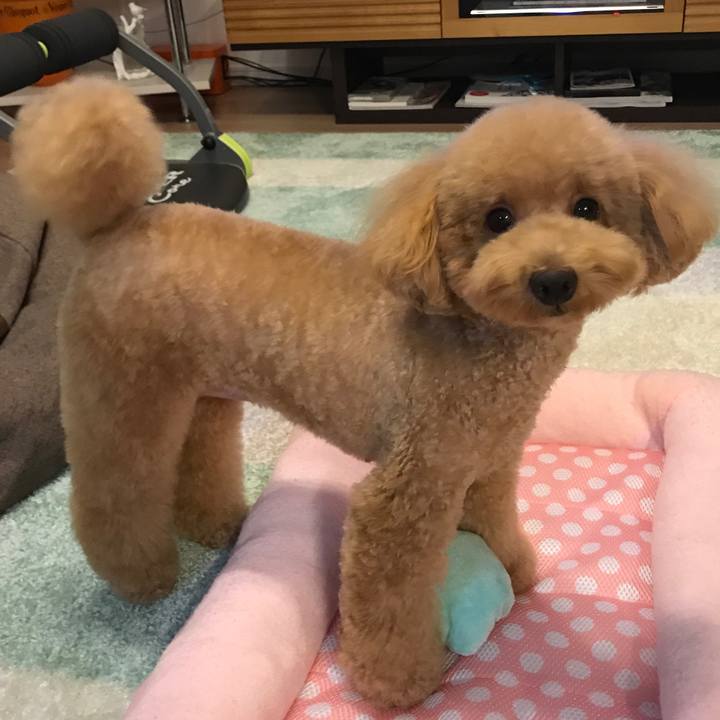 A2fc04a4 138f 47c6 9afe a75320ccc3c9