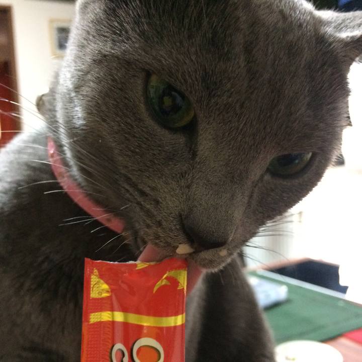 A2fc3049 c78e 479d a158 2007b09feda1