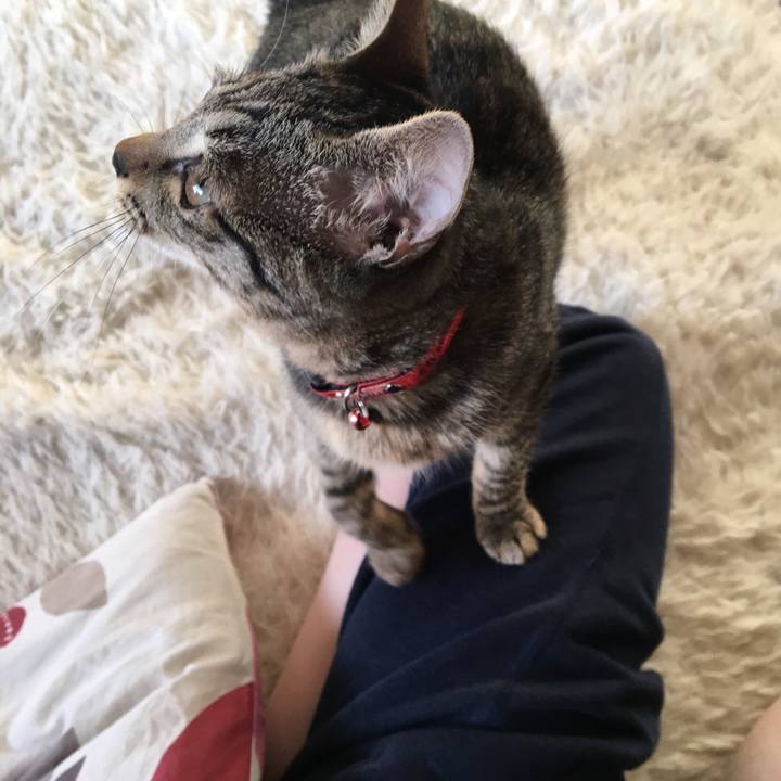 A2fc3406 d48c 4b24 8d71 b70069fbd6ca