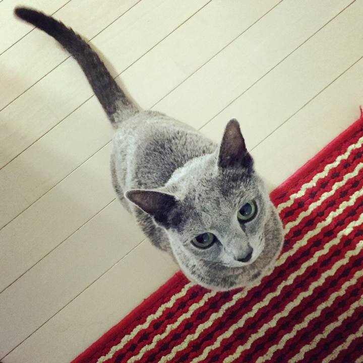 A2fd05ef 90e9 4398 8d2c a0a96b817ebc