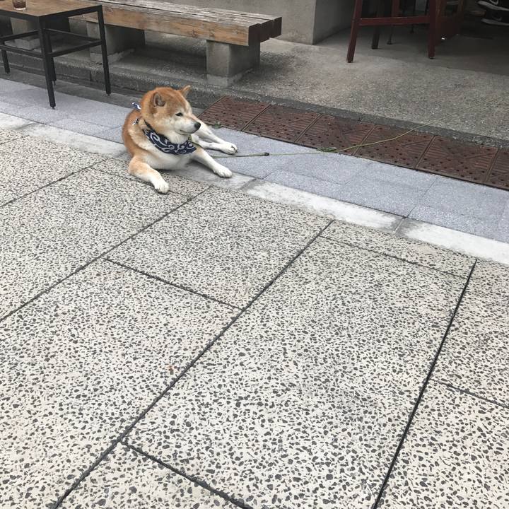 A2fd1a17 a990 4a71 99a8 d9bfc464c238