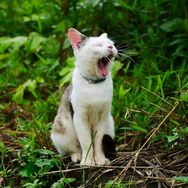 A2fd68d2 e7c7 49f1 82fe 7b935f7cd224