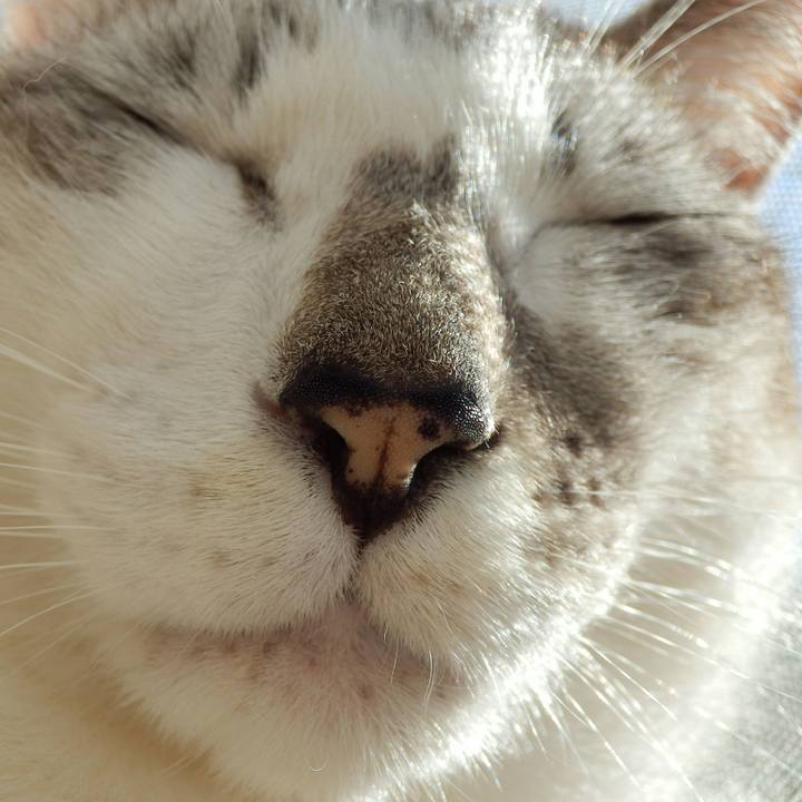 A2fda211 def5 44c7 b84f 360efad6a39f