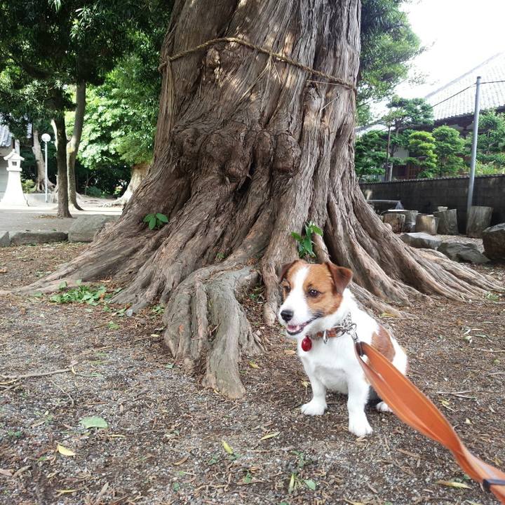 A2fdf96f 9f80 4b57 a6d0 45f543808d3c