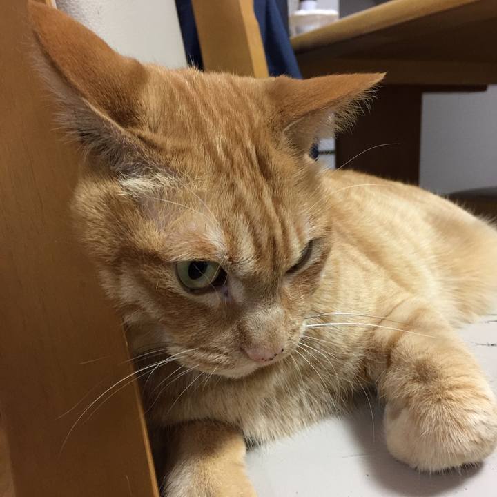 A2feb214 a6c6 43eb 899f 0adffbd2cc72