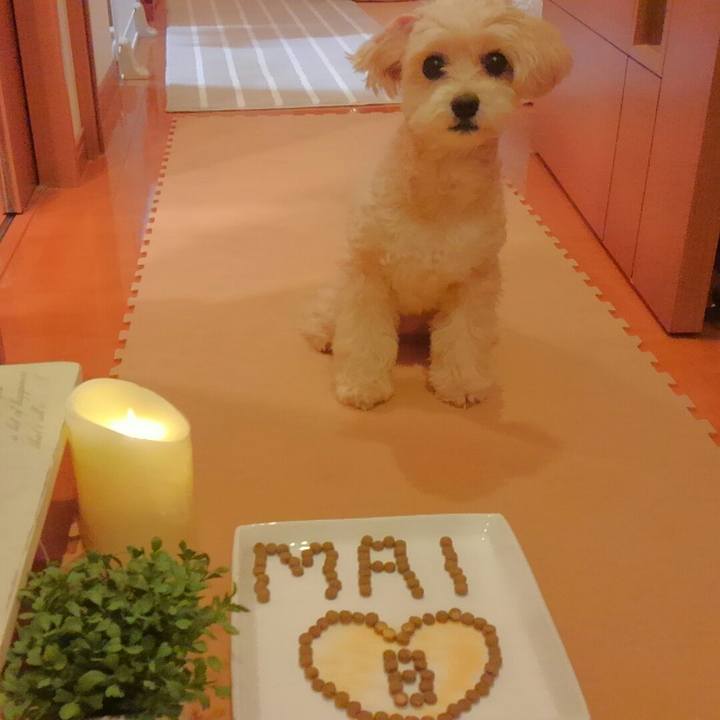 A2ff7a26 6072 4cb8 bfa3 5f7ca942e374