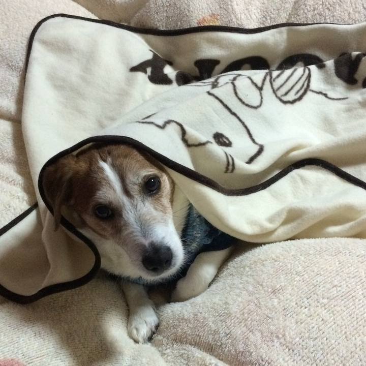 A2ffd94a e93e 4efc 9bb3 2d9e082e6612