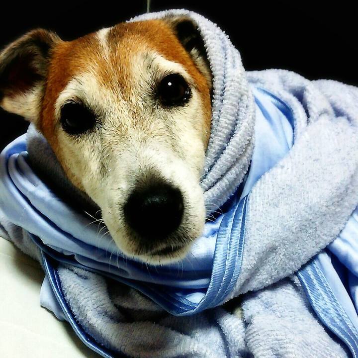 A2fff30d 412c 4bf5 b674 f03927d6ab40