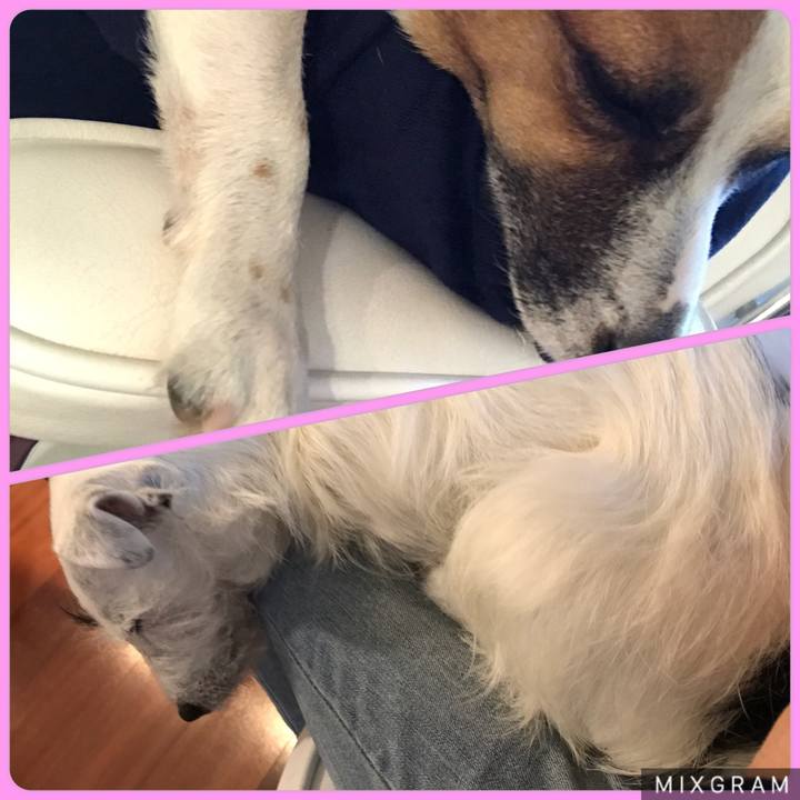 A3006460 e06f 4dc5 b7de 261c105609b8