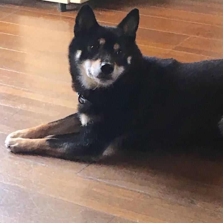 A3007a81 7414 4b1b 8f33 ecc7f2c8a11c